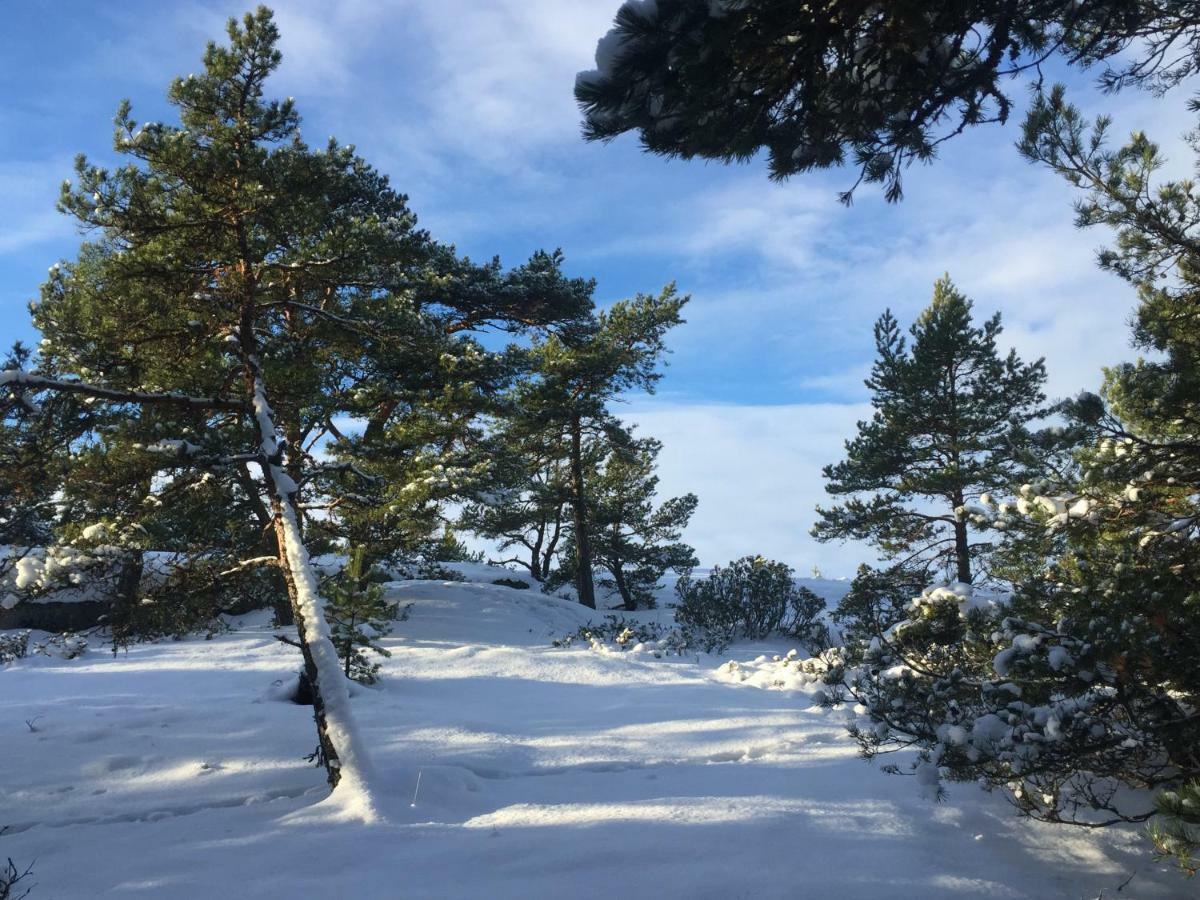 Villa Hogbo Inio Dış mekan fotoğraf